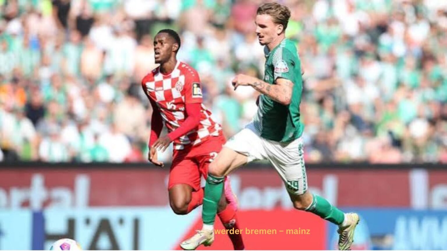 werder bremen – mainz